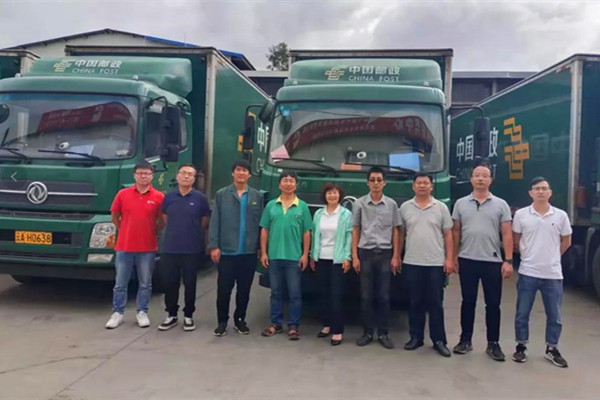 ͑P(gun)f һw(w)ǰ