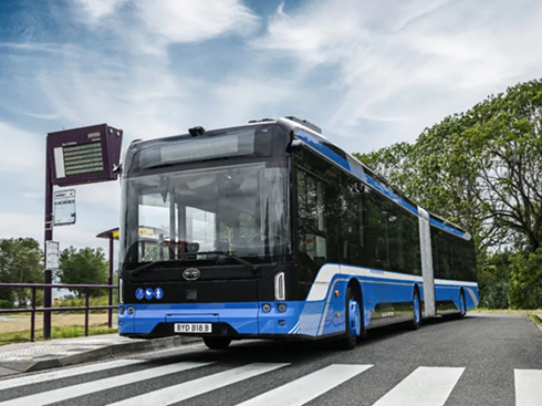 yȫW늄Ӵͼȁ2025r܇չ