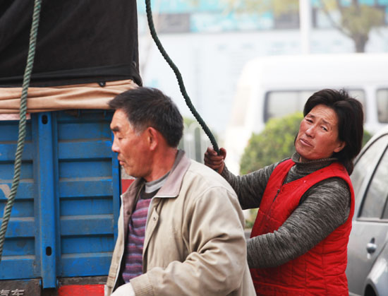 ܇(ch)˾C(j)201311 003.jpg