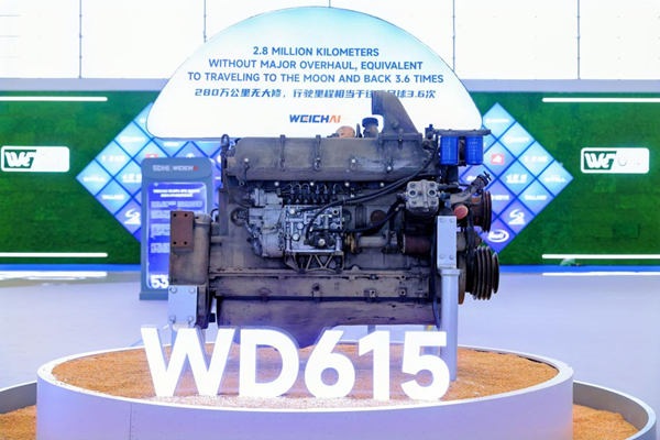 DƬ36.jpg