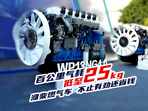 ҕlٹĵ25kg Hȼ?x)?ֹЄ߀ʡX